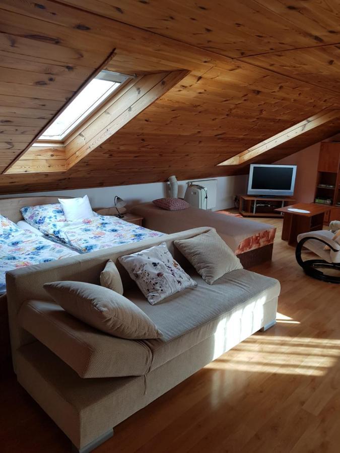 Apartment V Rodinnem Dome
